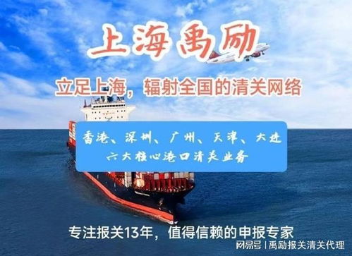 上海出口代理報關(guān)服務(wù) 專業(yè)商務(wù)代理，助您高效通關(guān)